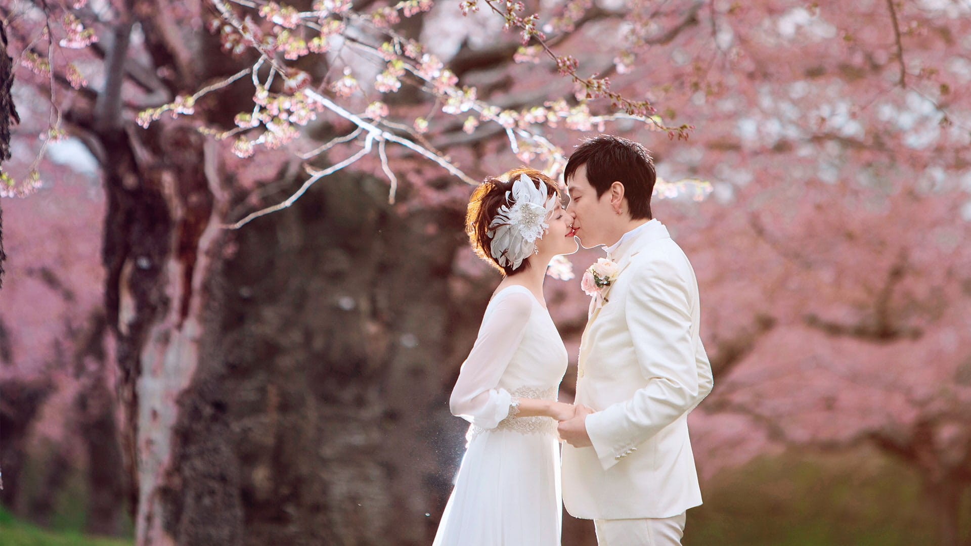 Dùng Bihaku whitening Tone-up chống nắng mỗi sáng, kể cả ngày ở trong nhà.