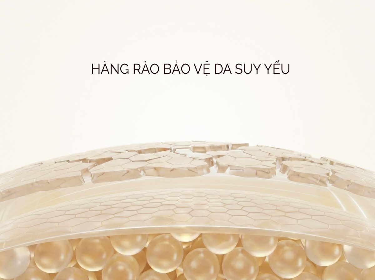 Phục hồi da trước khi dưỡng trắng là bí quyết dưỡng sáng an toàn 1 Hàng rào da suy yếu