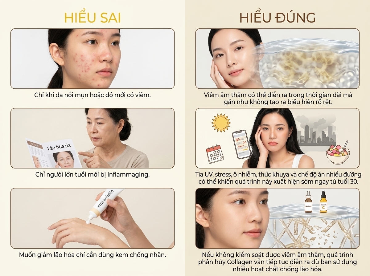 Tìm hiểu về Inflammaging