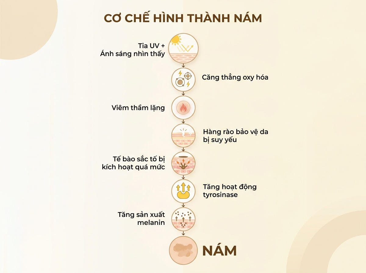 Vì sao nám được hình thành