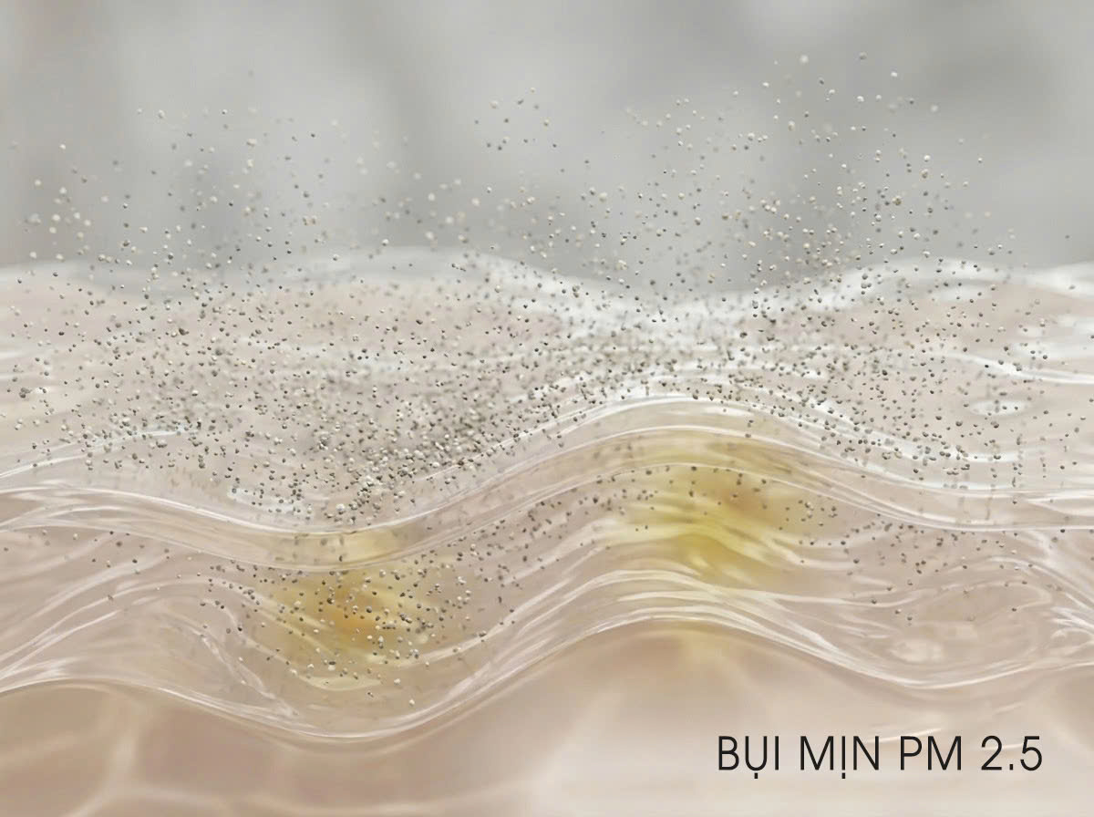 Bụi mịn PM 2.5 trên da