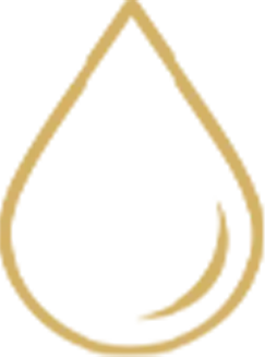 Layer 10