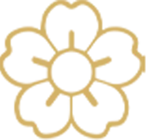 Layer 9